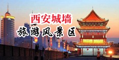 操骚逼淫水视频大鸡巴插中国陕西-西安城墙旅游风景区